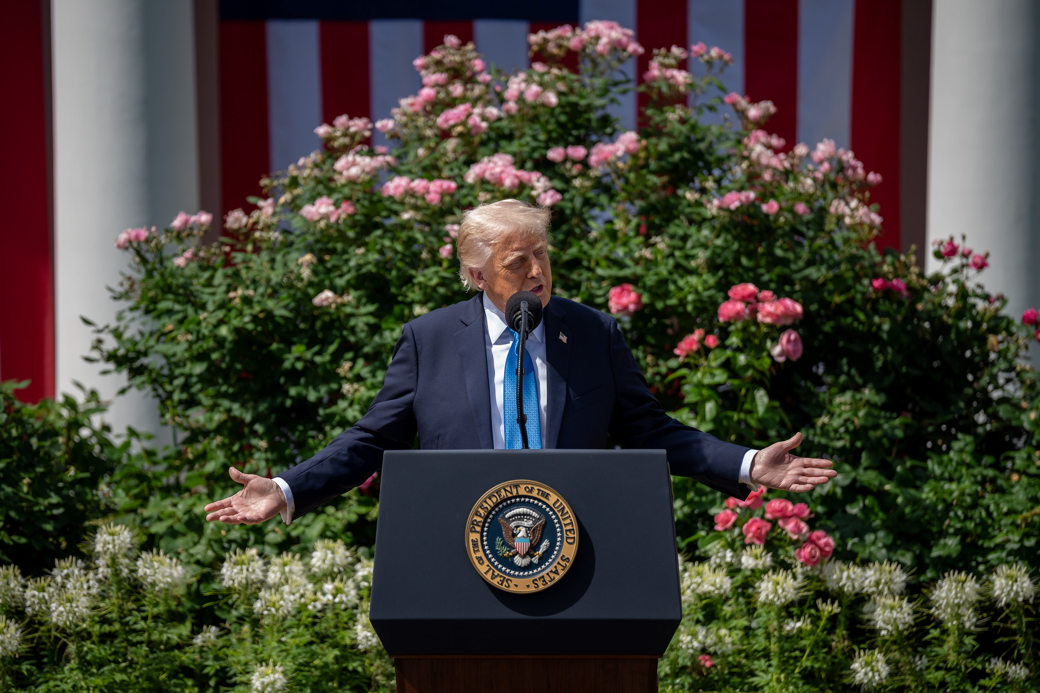 Trump’s ‘Big, Beautiful Bill’ major step in dismantling the regulatory state with REINS Act